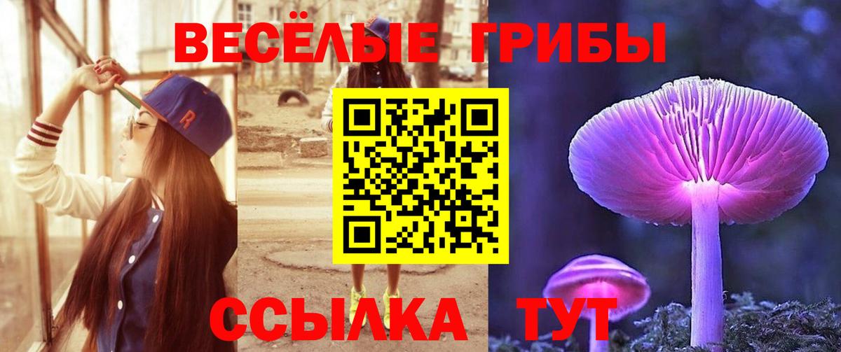 Галлюциногенные грибы GOLDEN TEACHER Казань